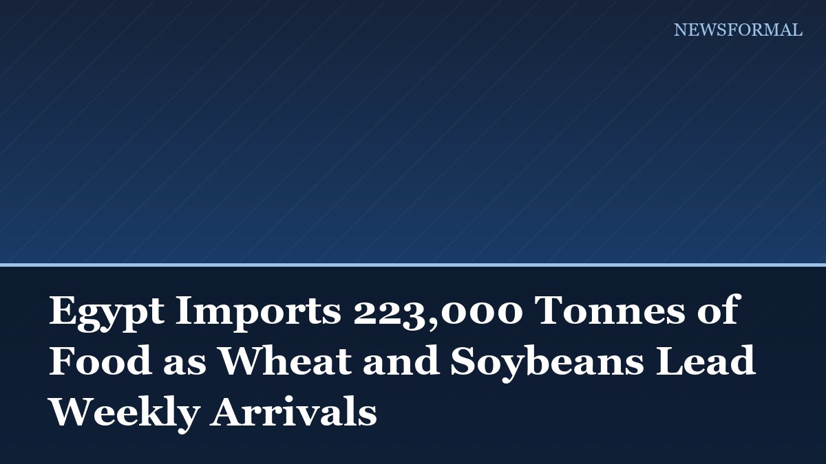 Egypt Imports 223,000 Tonnes of Food as Wheat and Soybeans Lead Weekly Arrivals