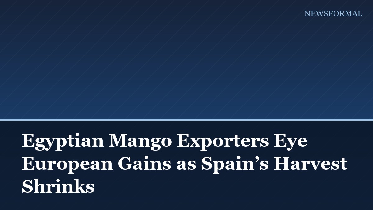 Egyptian Mango Exporters Eye European Gains as Spain’s Harvest Shrinks