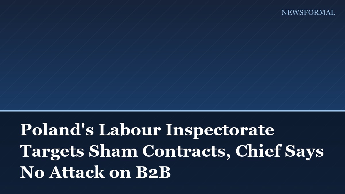Poland's Labour Inspectorate Targets Sham Contracts, Chief Says No Attack on B2B