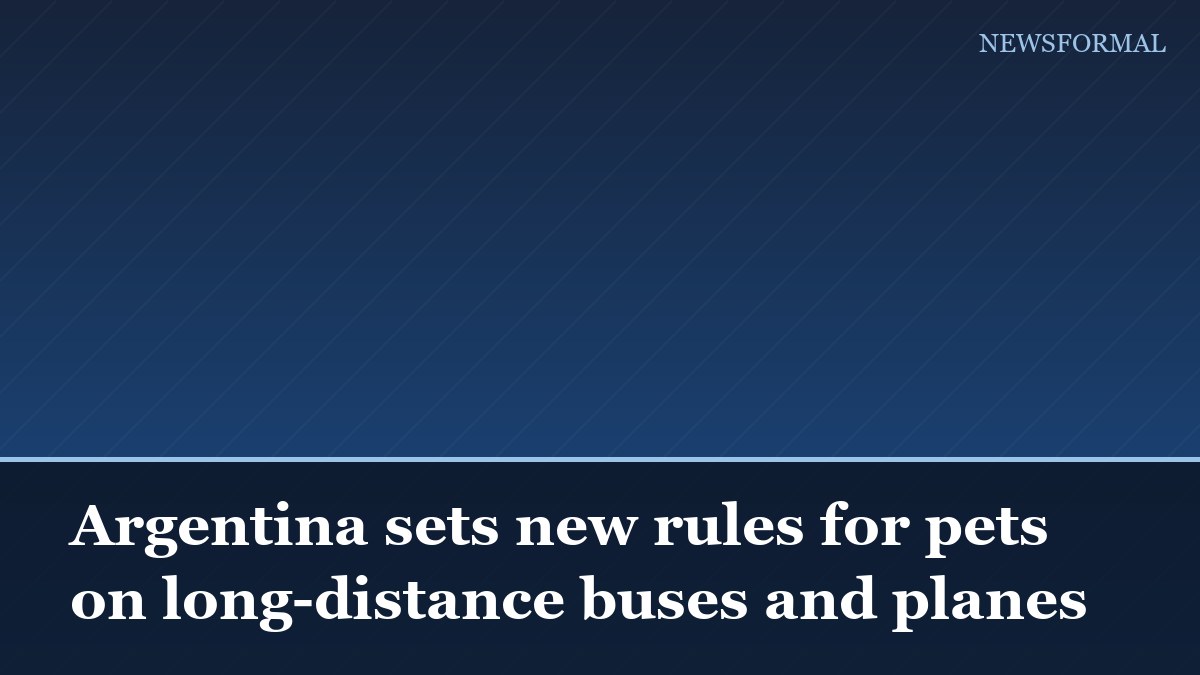 Argentina sets new rules for pets on long-distance buses and planes
