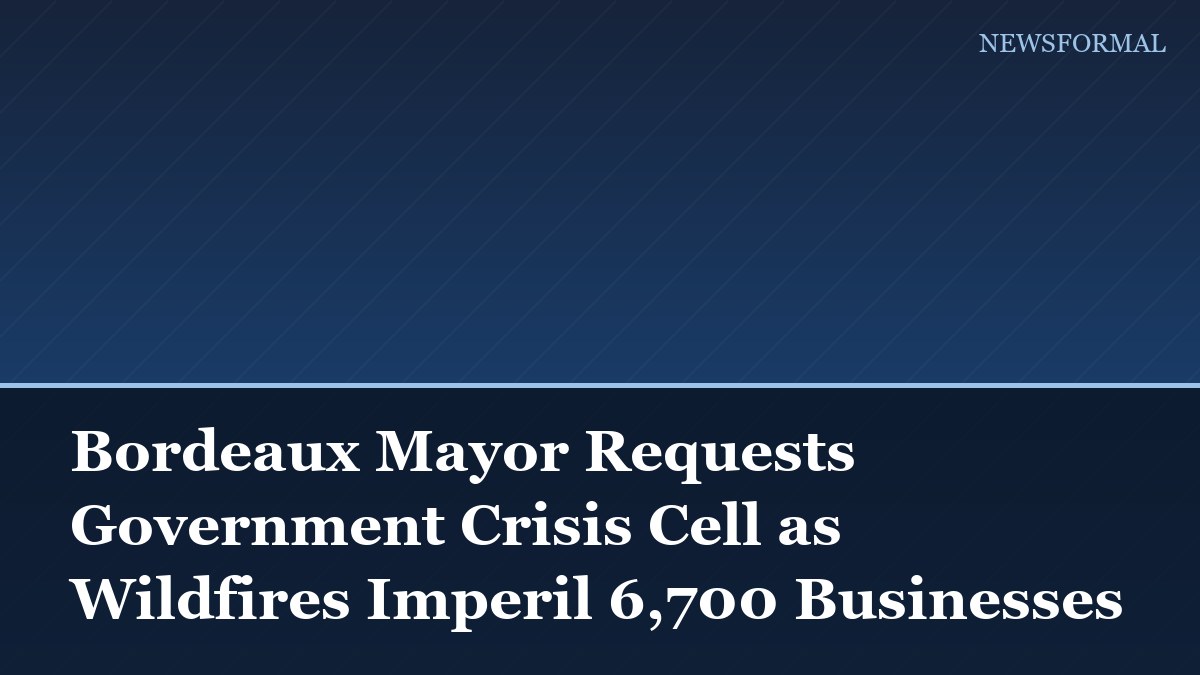 Bordeaux Mayor Requests Government Crisis Cell as Wildfires Imperil 6,700 Businesses