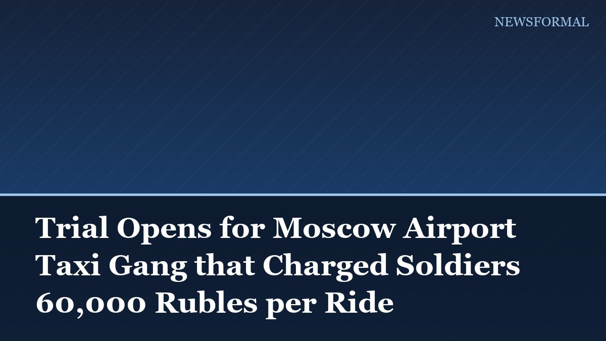 Trial Opens for Moscow Airport Taxi Gang that Charged Soldiers 60,000 Rubles per Ride