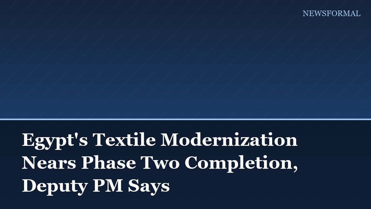 Egypt's Textile Modernization Nears Phase Two Completion, Deputy PM Says