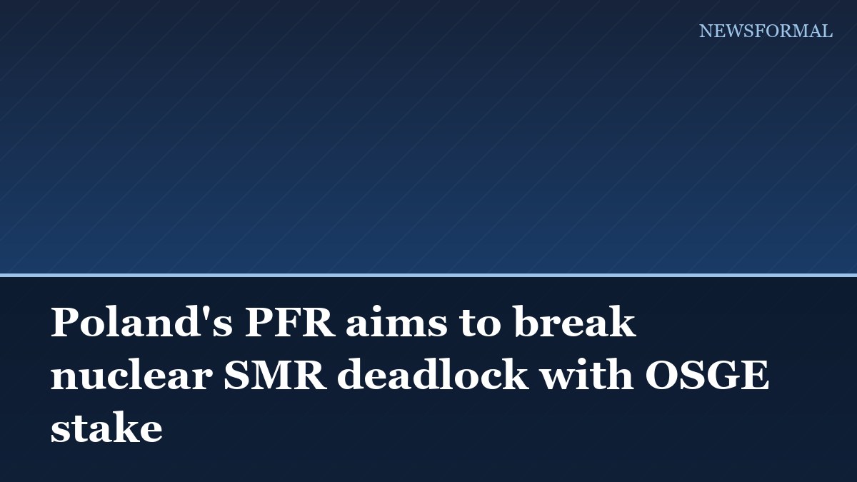 Poland's PFR aims to break nuclear SMR deadlock with OSGE stake