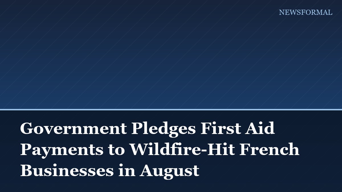 Government Pledges First Aid Payments to Wildfire-Hit French Businesses in August