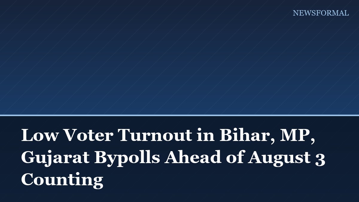 Low Voter Turnout in Bihar, MP, Gujarat Bypolls Ahead of August 3 Counting