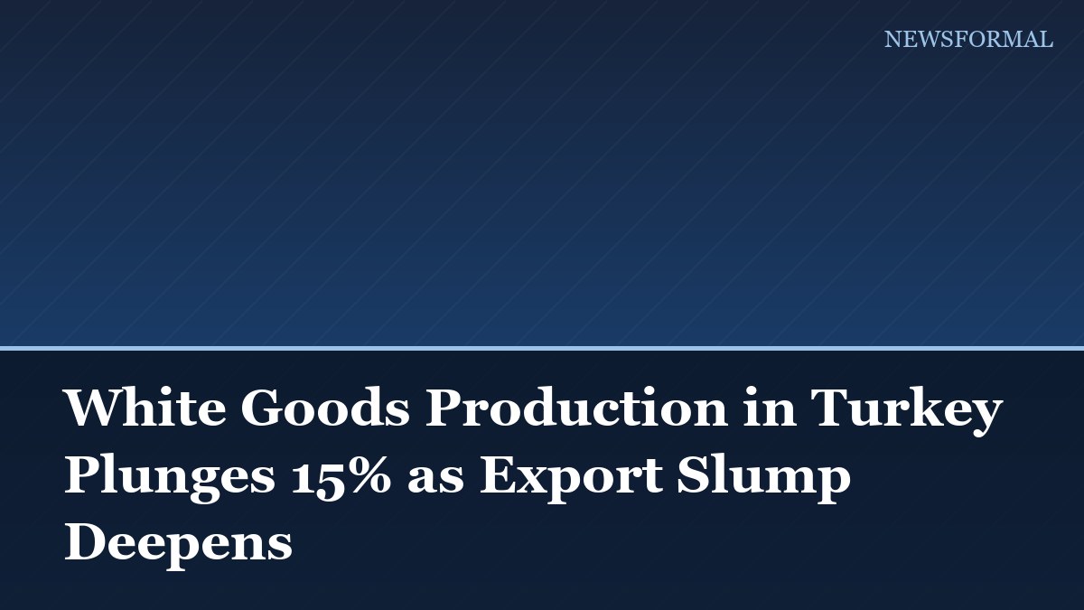 White Goods Production in Turkey Plunges 15% as Export Slump Deepens