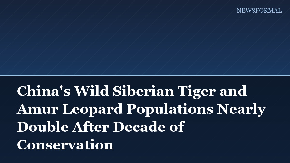 China's Wild Siberian Tiger and Amur Leopard Populations Nearly Double After Decade of Conservation