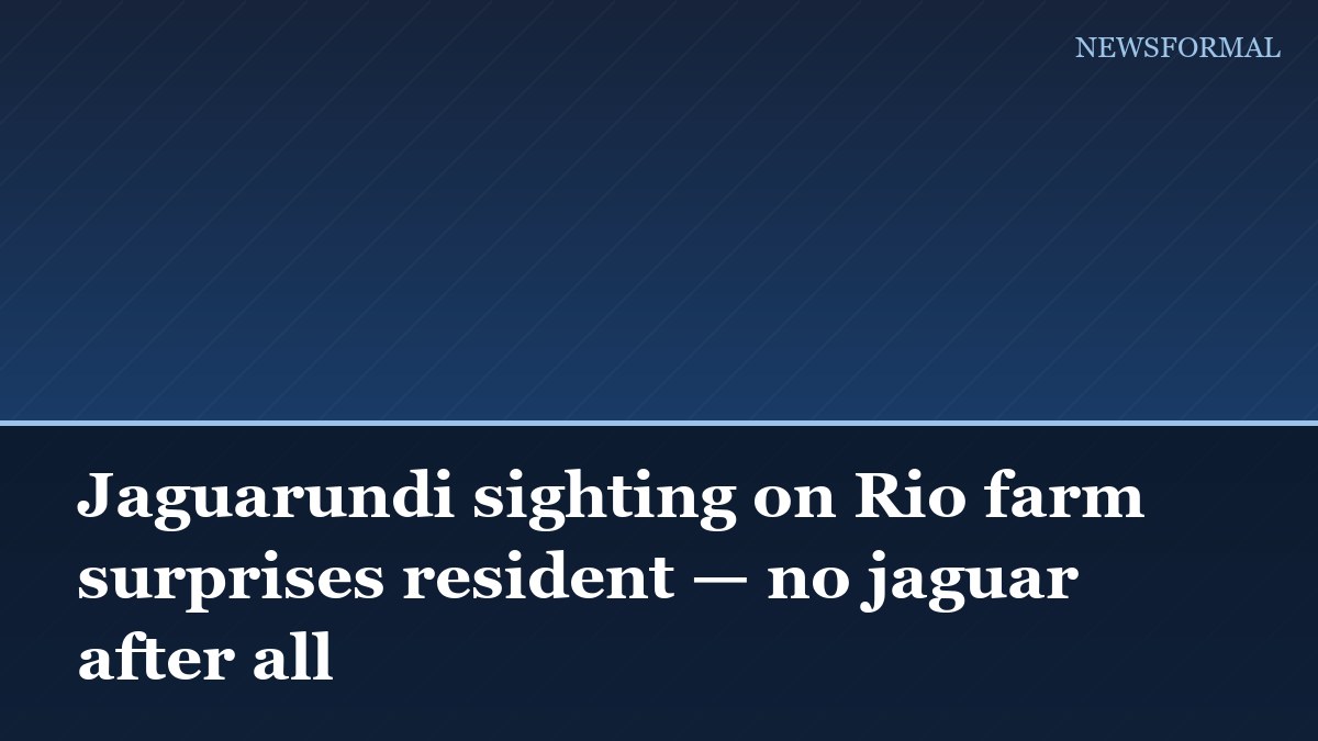 Jaguarundi sighting on Rio farm surprises resident — no jaguar after all
