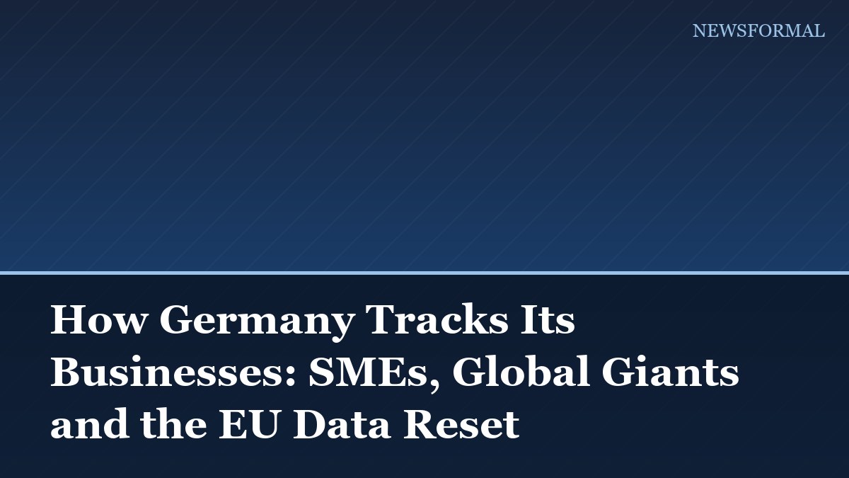 How Germany Tracks Its Businesses: SMEs, Global Giants and the EU Data Reset