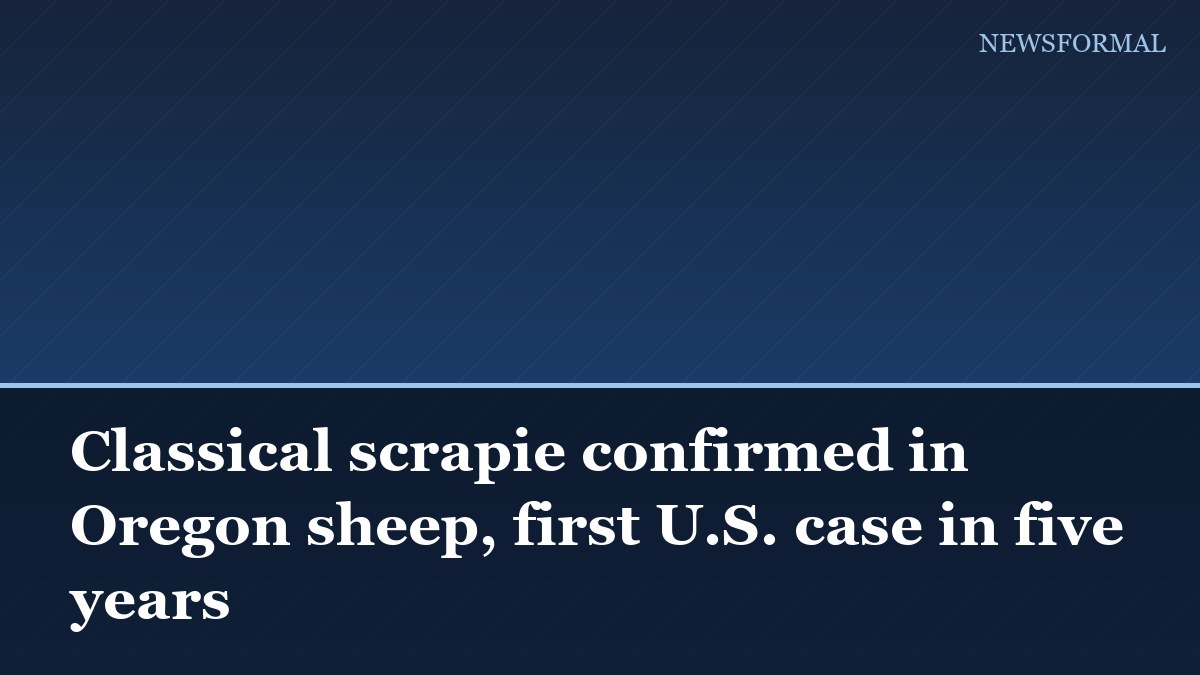 Classical scrapie confirmed in Oregon sheep, first U.S. case in five years