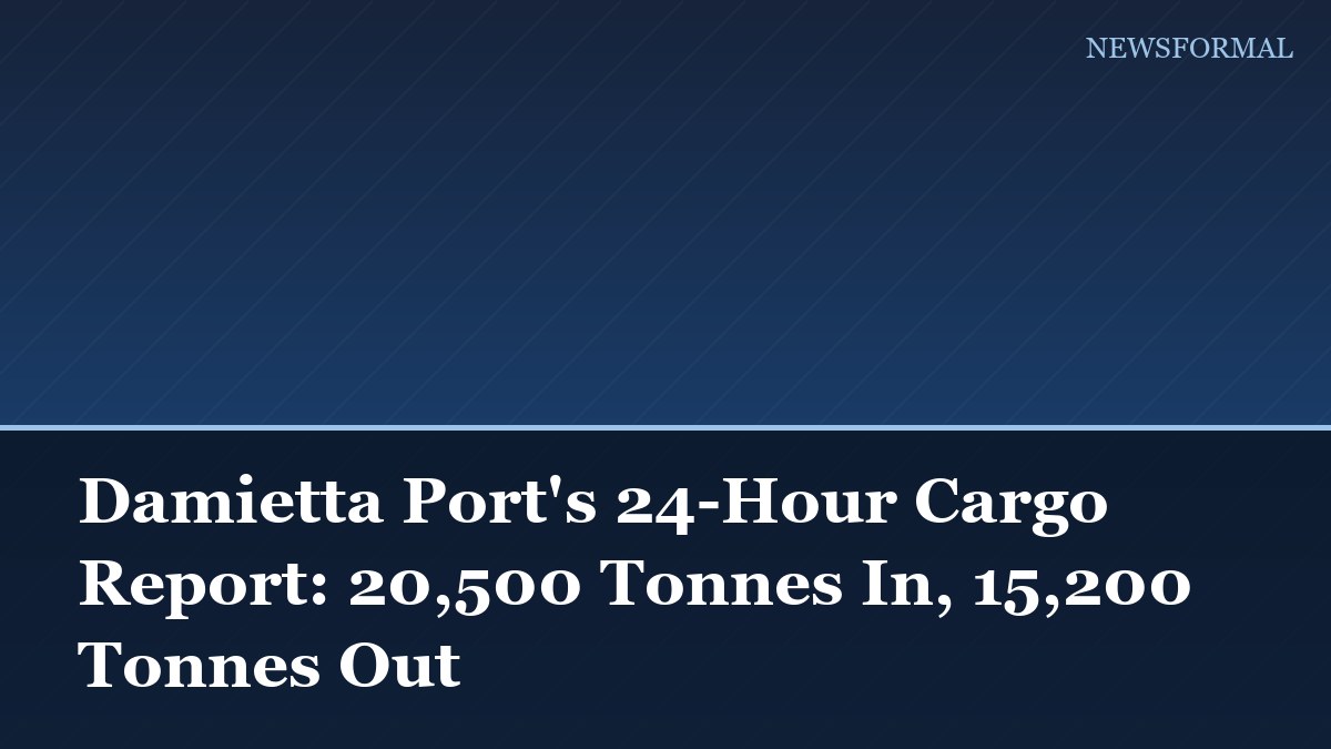 Damietta Port's 24-Hour Cargo Report: 20,500 Tonnes In, 15,200 Tonnes Out