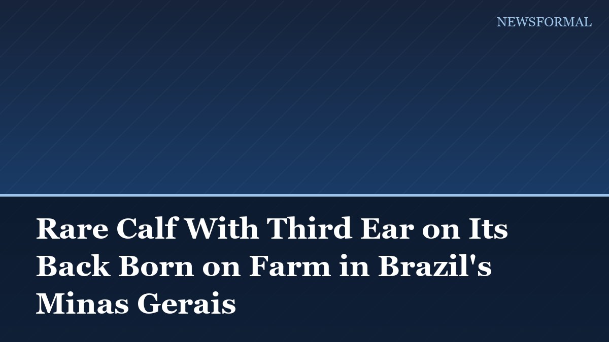Rare Calf With Third Ear on Its Back Born on Farm in Brazil's Minas Gerais