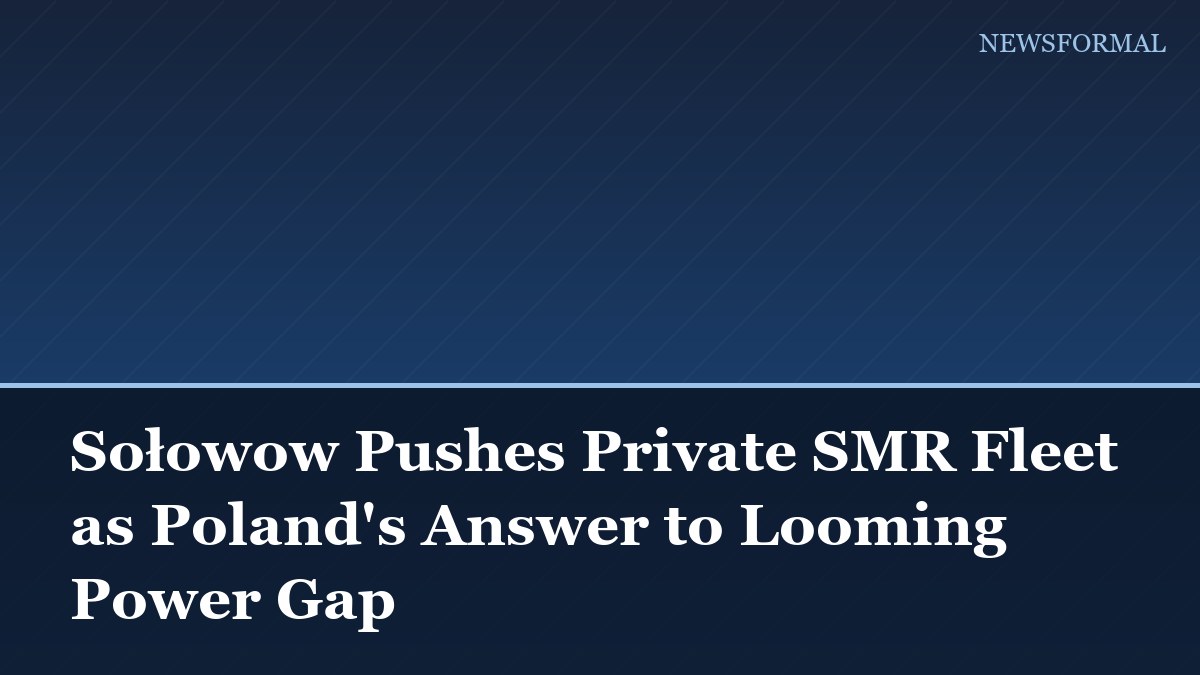 Sołowow Pushes Private SMR Fleet as Poland's Answer to Looming Power Gap