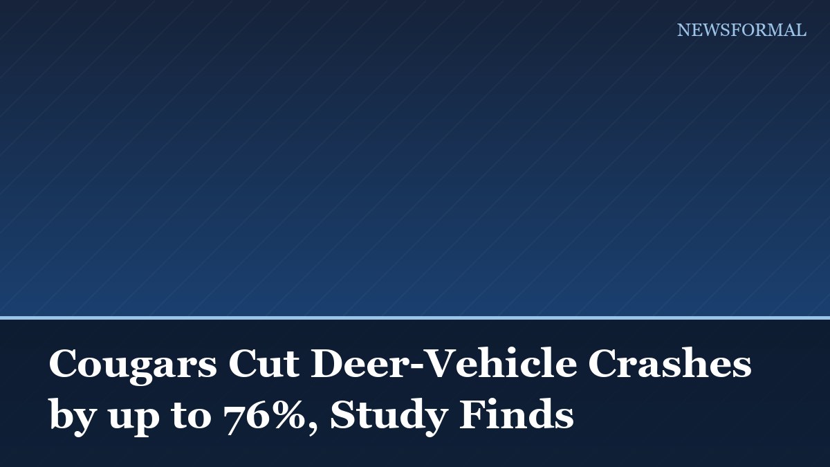Cougars Cut Deer-Vehicle Crashes by up to 76%, Study Finds