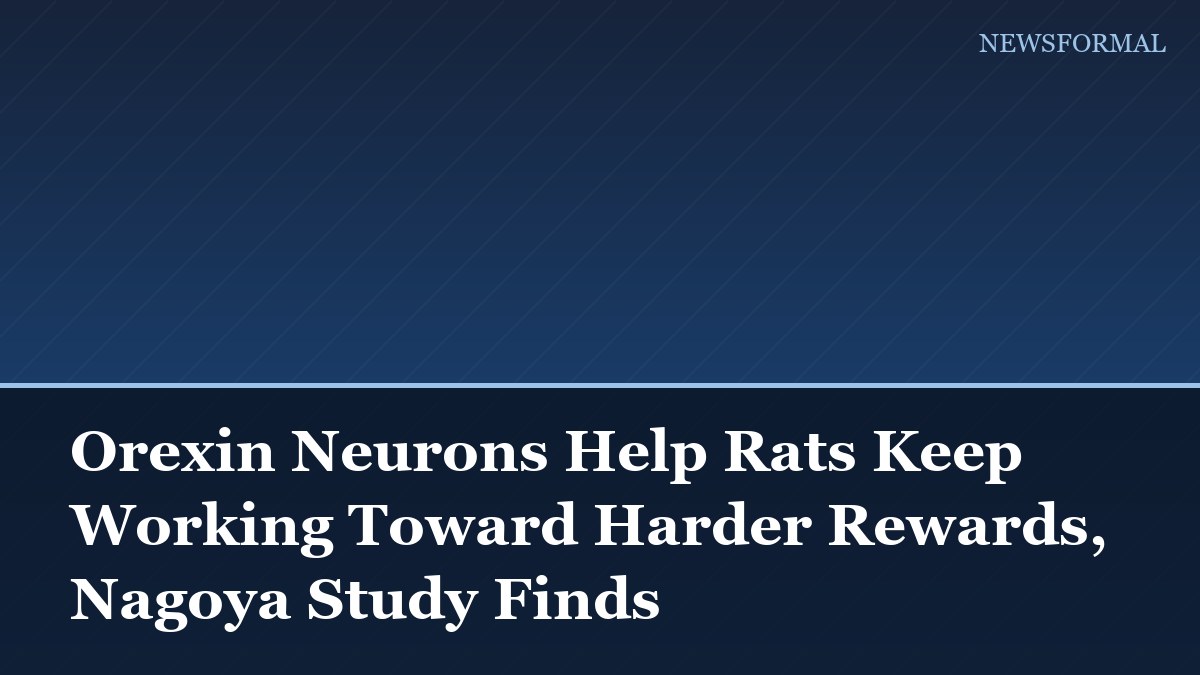 Orexin Neurons Help Rats Keep Working Toward Harder Rewards, Nagoya Study Finds