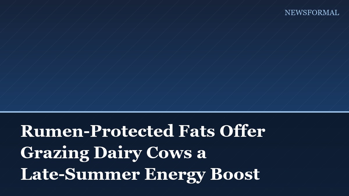 Rumen-Protected Fats Offer Grazing Dairy Cows a Late-Summer Energy Boost