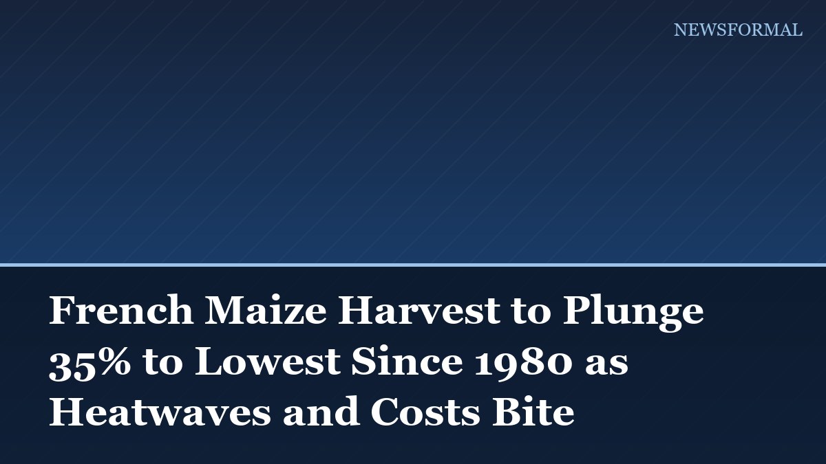 French Maize Harvest to Plunge 35% to Lowest Since 1980 as Heatwaves and Costs Bite