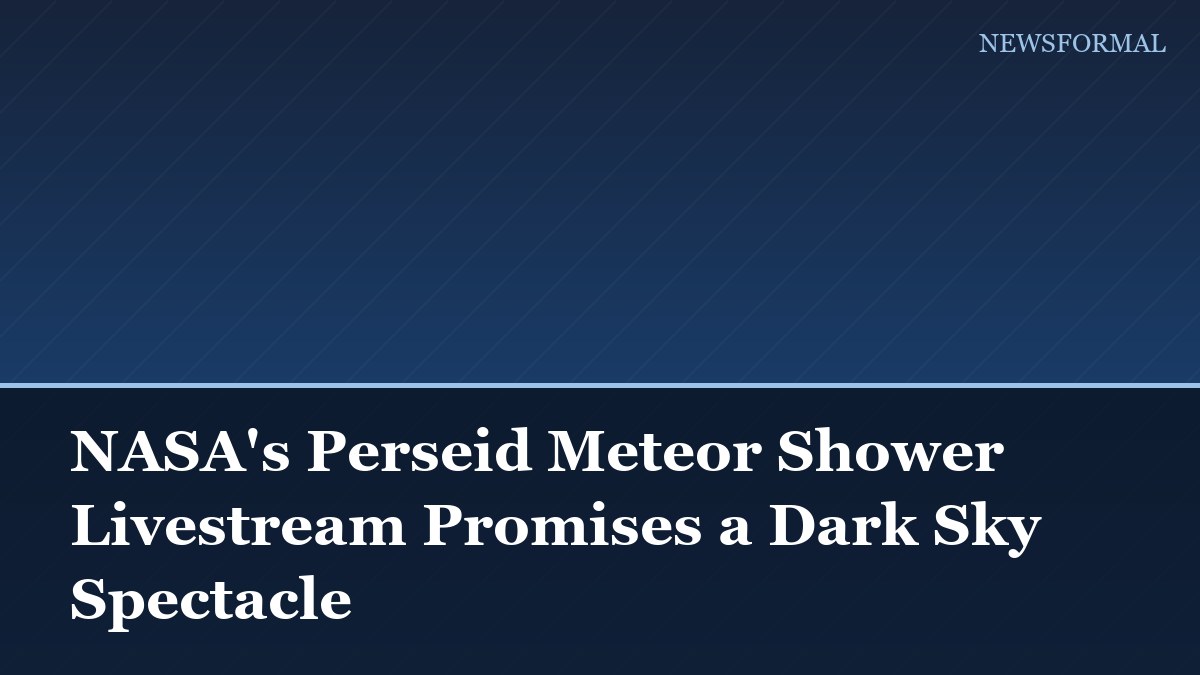 NASA's Perseid Meteor Shower Livestream Promises a Dark Sky Spectacle