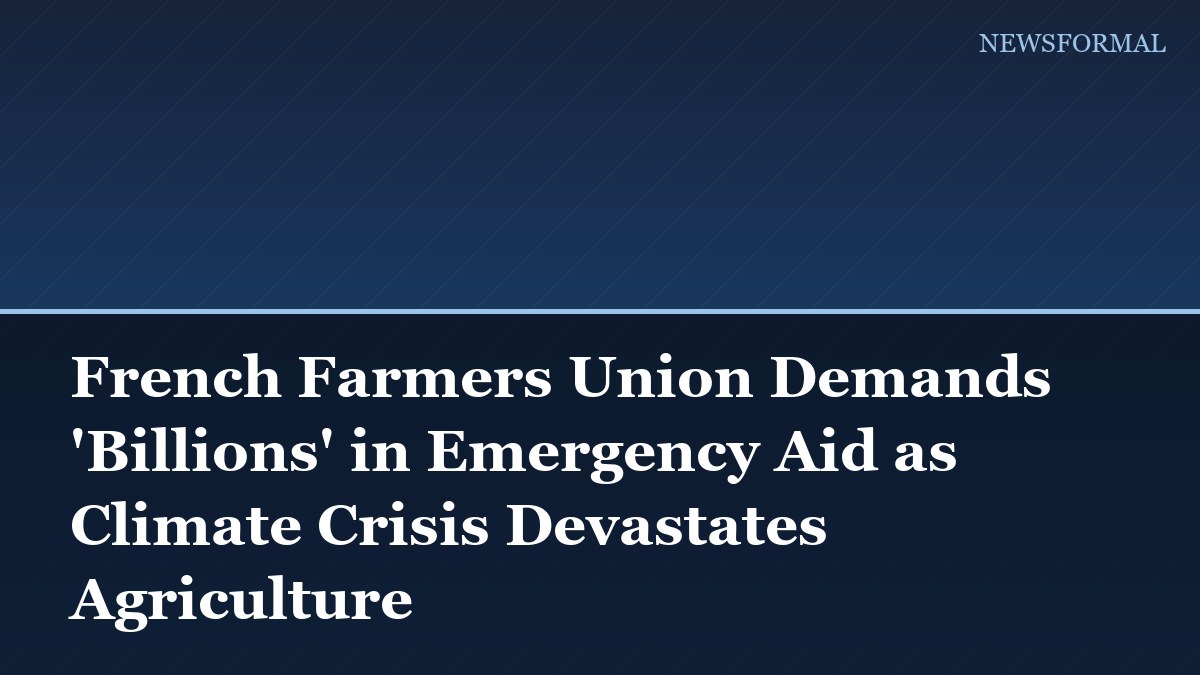French Farmers Union Demands 'Billions' in Emergency Aid as Climate Crisis Devastates Agriculture