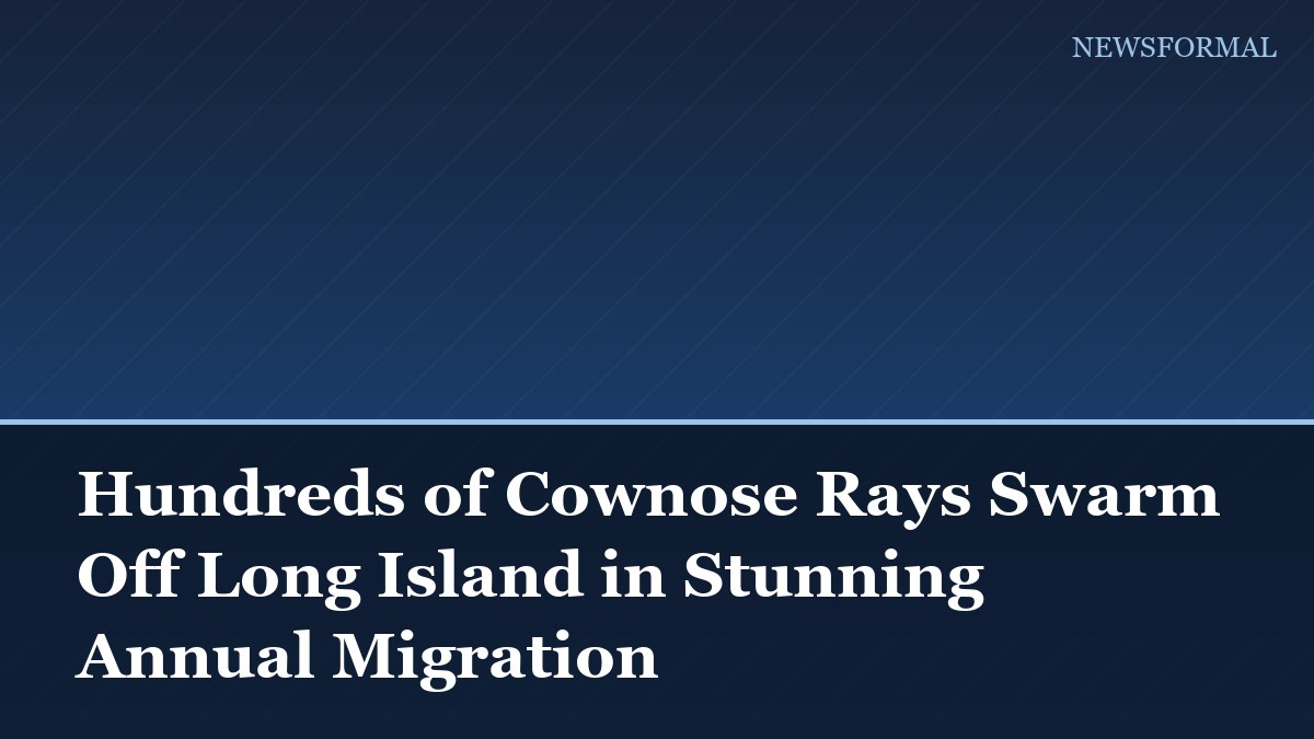 Hundreds of Cownose Rays Swarm Off Long Island in Stunning Annual Migration