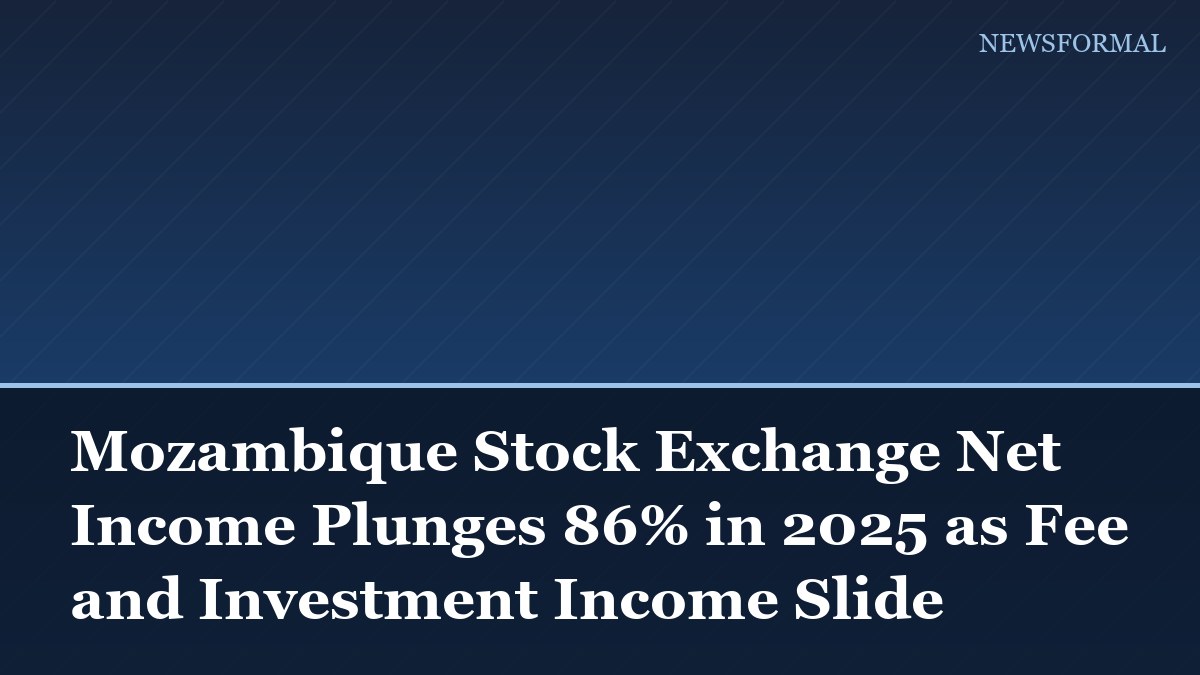 Mozambique Stock Exchange Net Income Plunges 86% in 2025 as Fee and Investment Income Slide