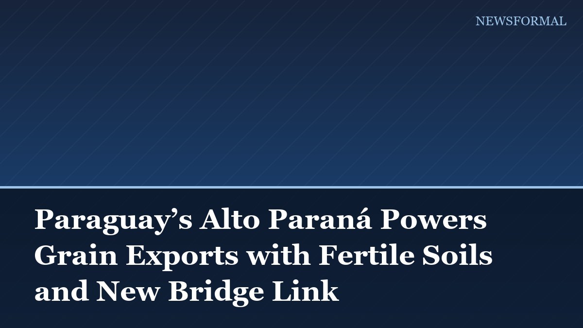 Paraguay’s Alto Paraná Powers Grain Exports with Fertile Soils and New Bridge Link