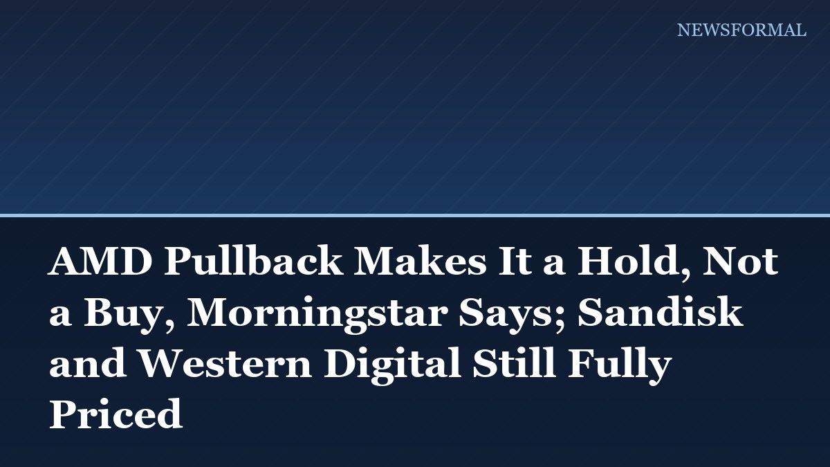 AMD Pullback Makes It a Hold, Not a Buy, Morningstar Says; Sandisk and Western Digital Still Fully Priced
