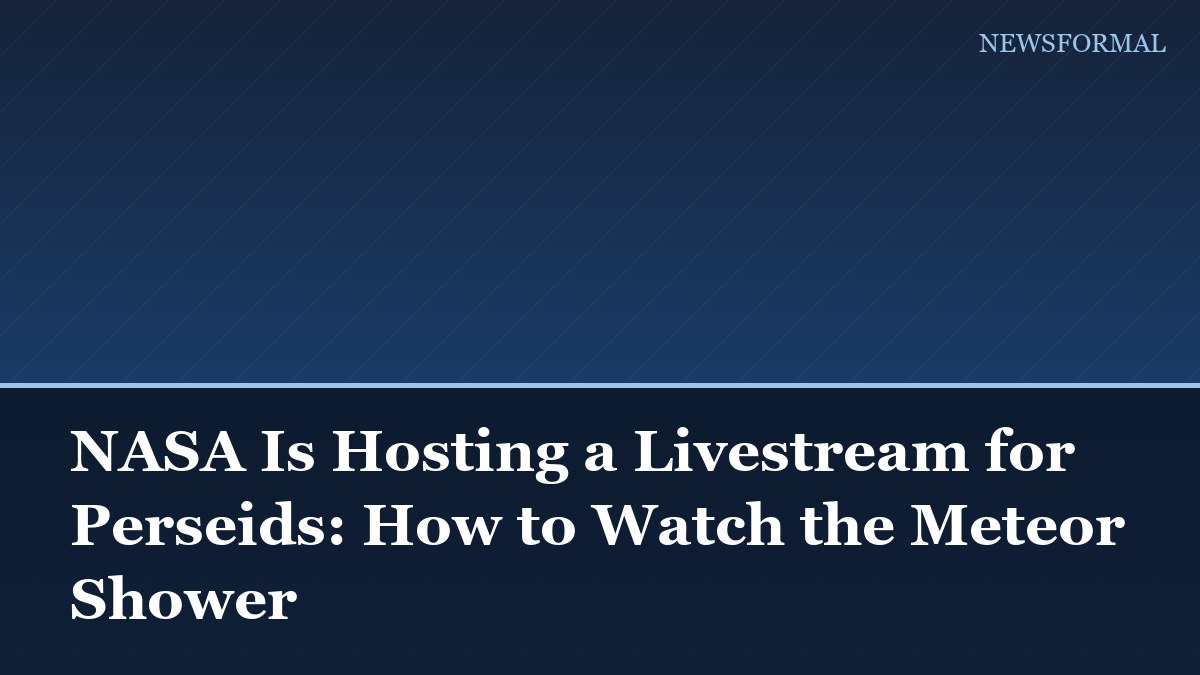 NASA Is Hosting a Livestream for Perseids: How to Watch the Meteor Shower