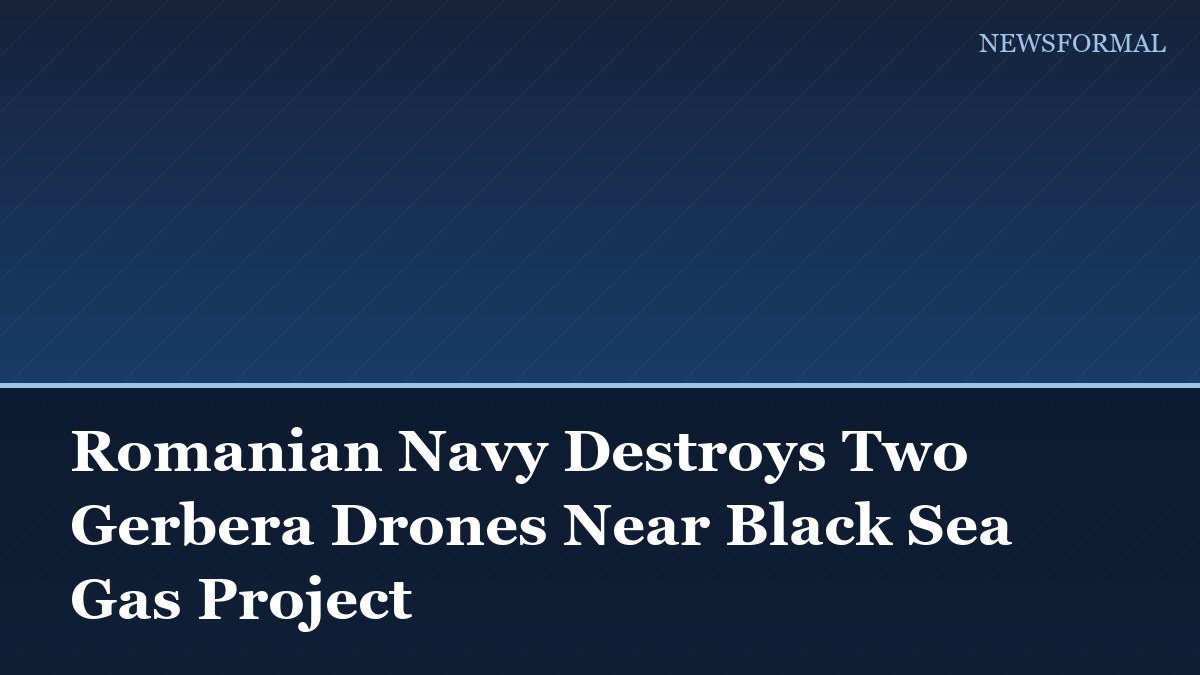 Romanian Navy Destroys Two Gerbera Drones Near Black Sea Gas Project
