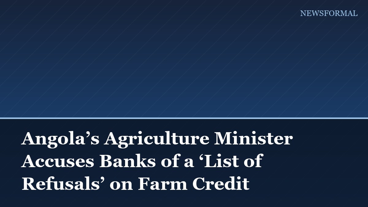 Angola’s Agriculture Minister Accuses Banks of a ‘List of Refusals’ on Farm Credit