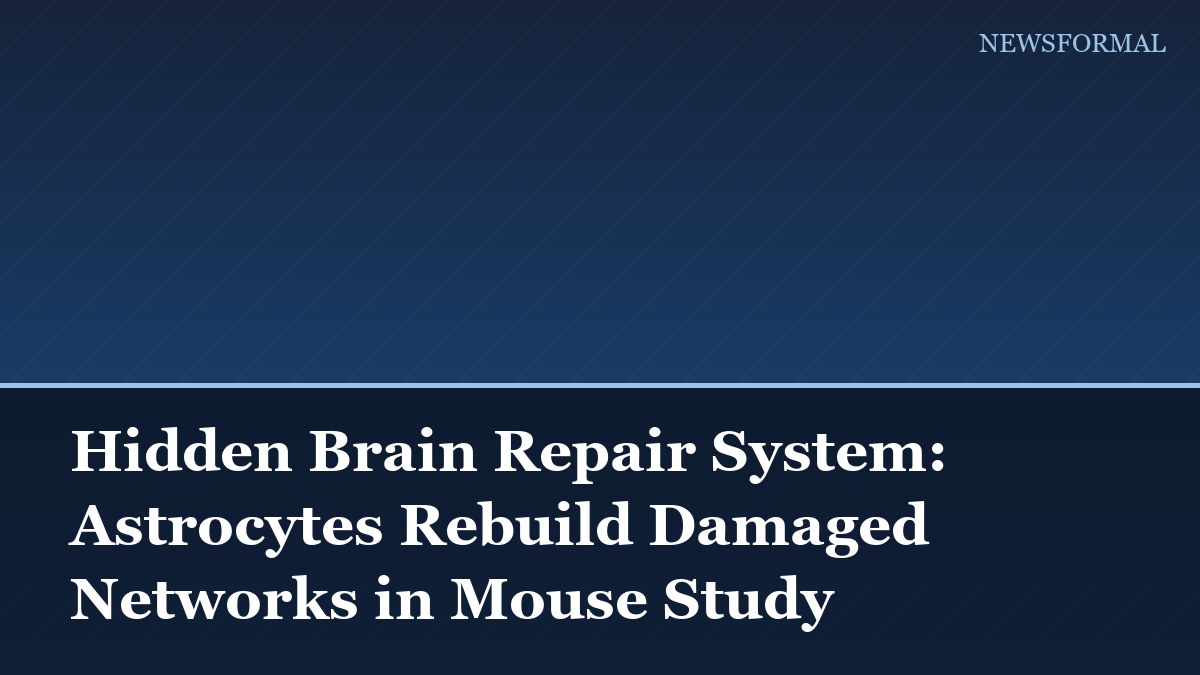 Hidden Brain Repair System: Astrocytes Rebuild Damaged Networks in Mouse Study