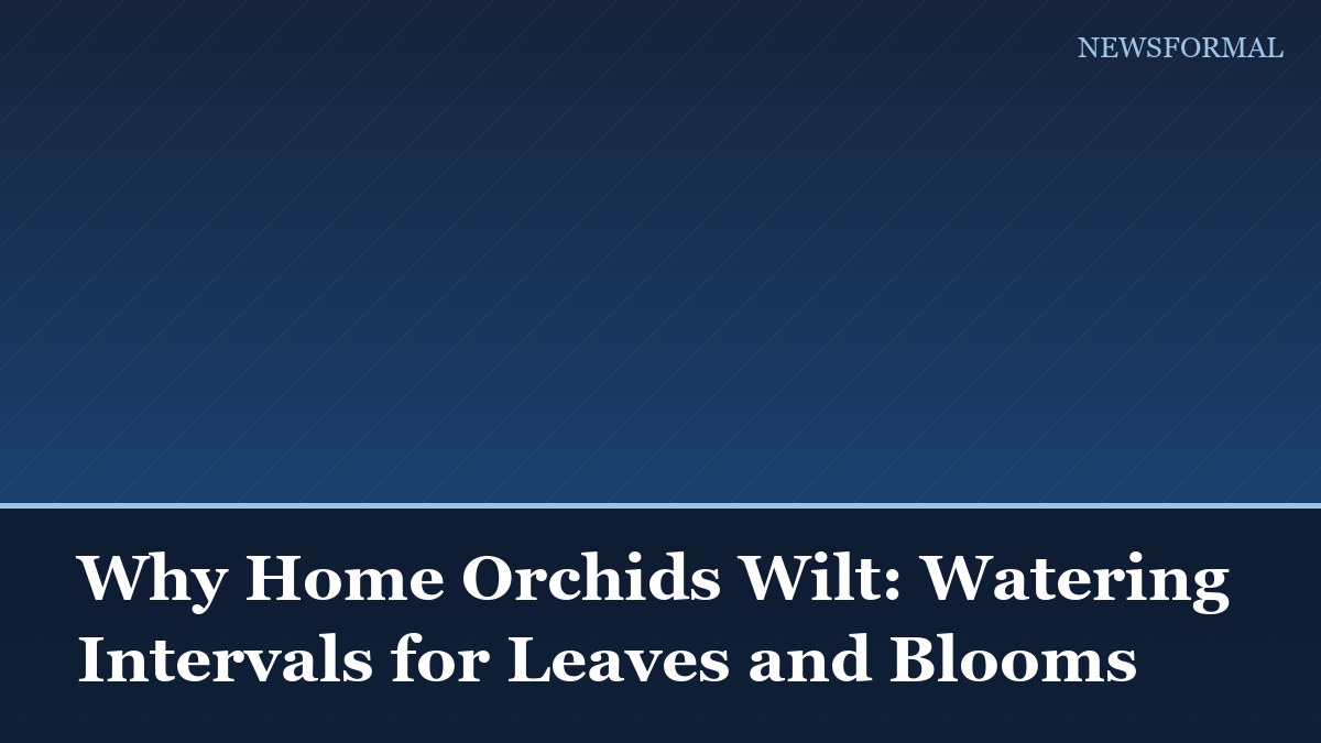 Why Home Orchids Wilt: Watering Intervals for Leaves and Blooms