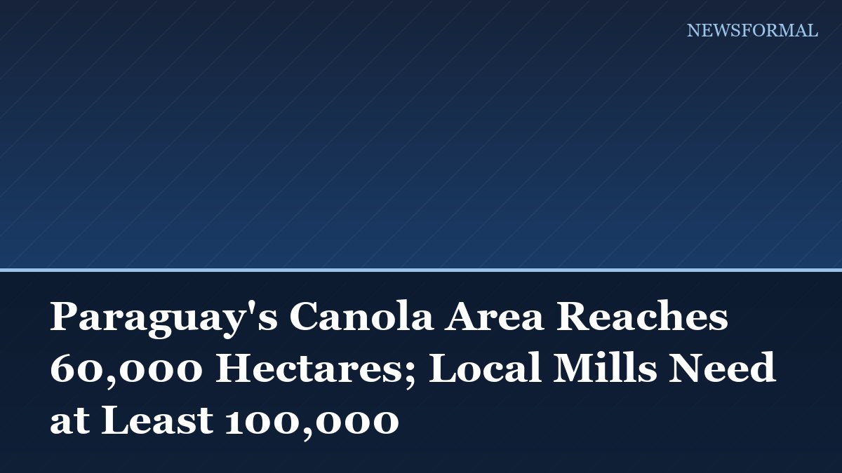 Paraguay's Canola Area Reaches 60,000 Hectares; Local Mills Need at Least 100,000