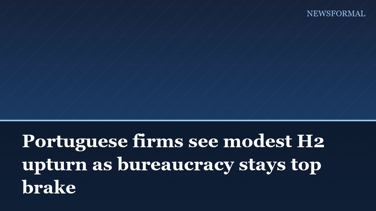 Portuguese firms see modest H2 upturn as bureaucracy stays top brake