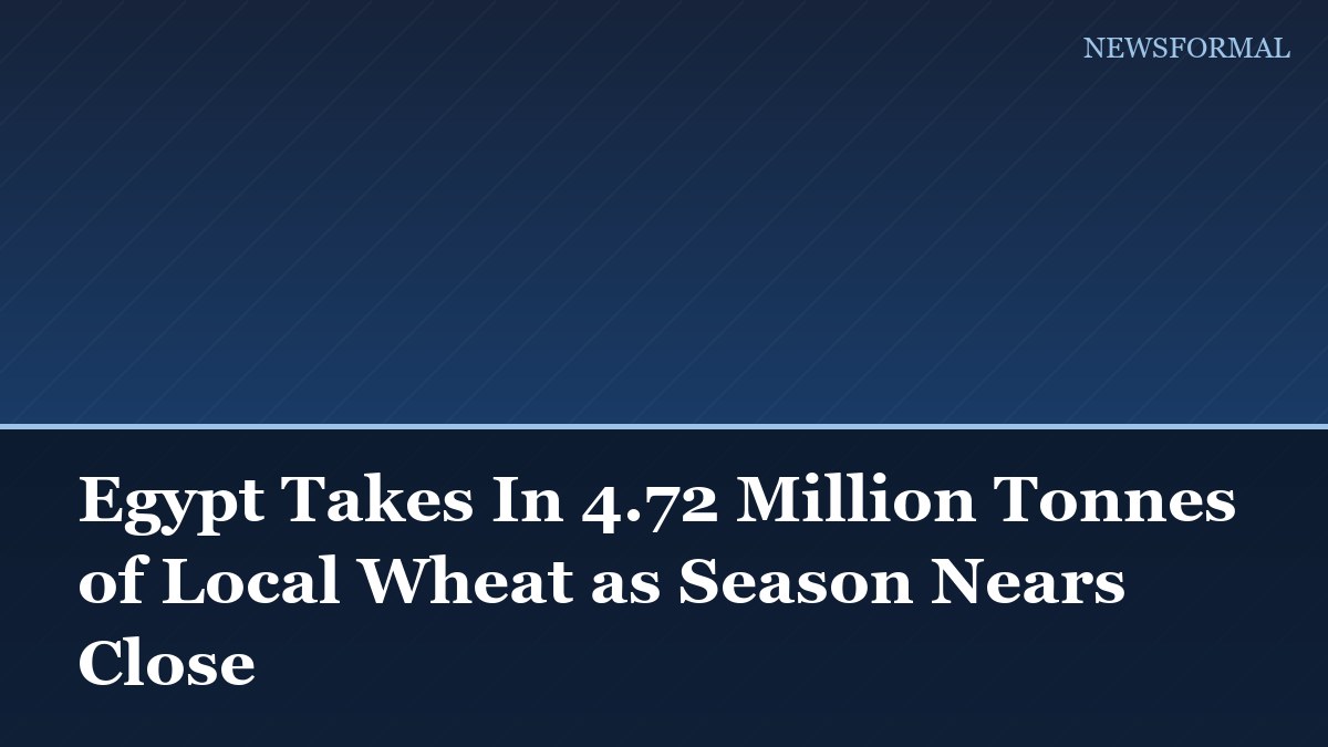 Egypt Takes In 4.72 Million Tonnes of Local Wheat as Season Nears Close