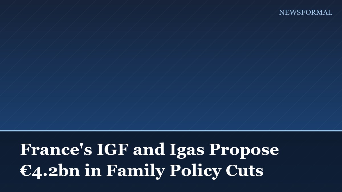 France's IGF and Igas Propose €4.2bn in Family Policy Cuts