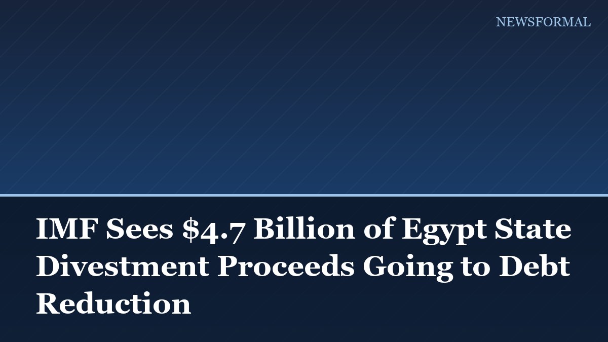 IMF Sees $4.7 Billion of Egypt State Divestment Proceeds Going to Debt Reduction