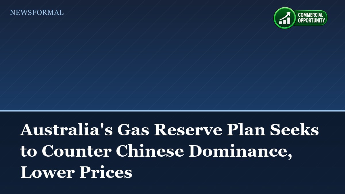 Australia's Gas Reserve Plan Seeks to Counter Chinese Dominance, Lower Prices