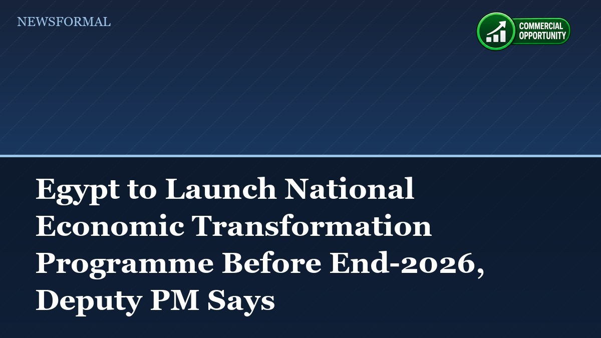 Egypt to Launch National Economic Transformation Programme Before End-2026, Deputy PM Says